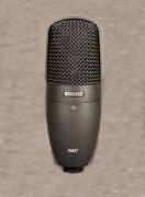Mic
