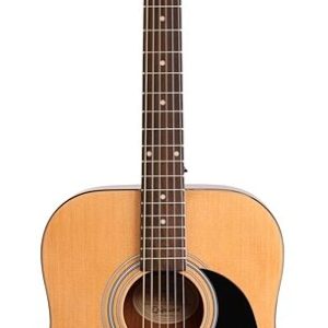 Epiphone Songmaker DR-100 - Natural