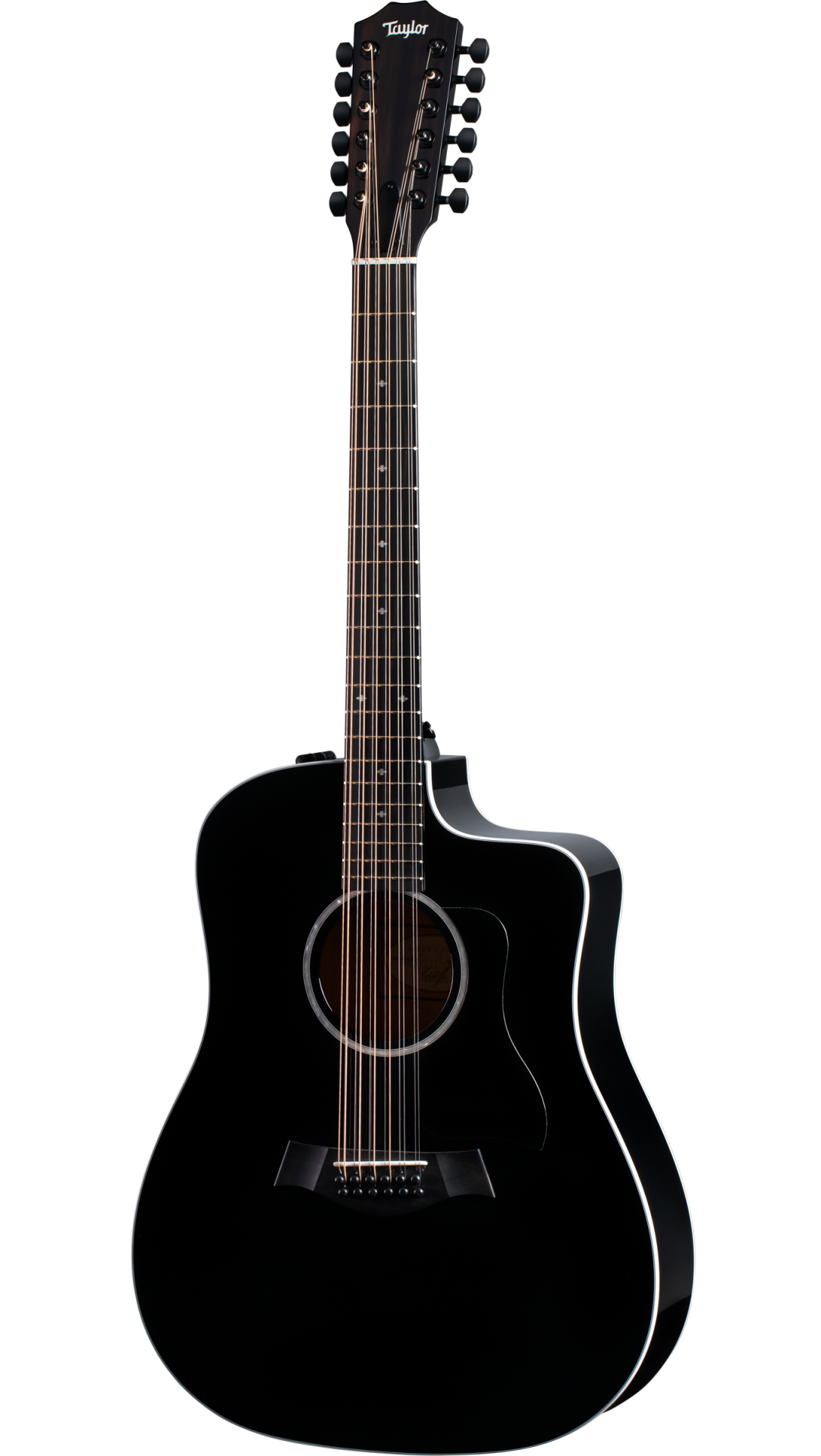 Taylor 250ce-BLK DLX